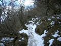 040215hakone9.JPG