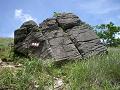 20040619kenntoku5.jpg