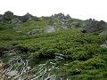 040807norikura5.jpg