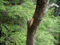 050611tarou28.JPG