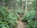 050806yake32.JPG