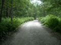 050806yake38.JPG