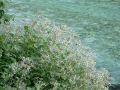 050806yake40.JPG