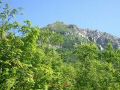 050806yake4.JPG