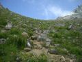 050806yake9.JPG