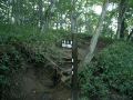 050903daibosatu1.JPG