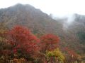 051022nasu08.jpg