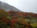 051022nasu15.jpg