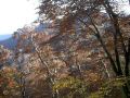 051104daisen05.JPG