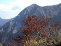 051104daisen18.JPG