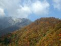 051105daisen06.JPG