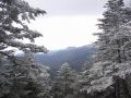 061202tengu09.JPG
