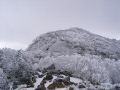 061202tengu11.JPG
