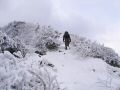 061202tengu15.JPG