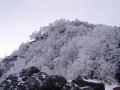 061202tengu23.JPG
