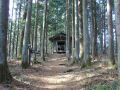 070210azu06.JPG