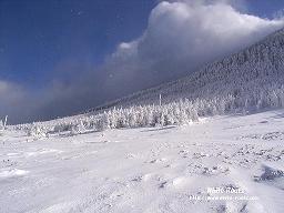 北八ヶ岳の冬景色